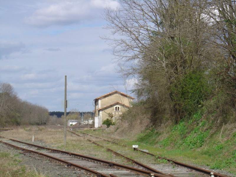 Reportage Photos - 2008 : Ballade entre Mont de Marsan à Roquefort Roquefort_3